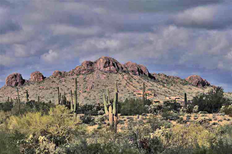 mtn scenic